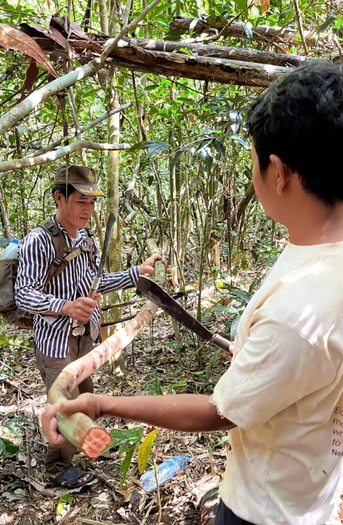 Ratanakiri Farmhouse & Trekking بانلونغ المظهر الخارجي الصورة