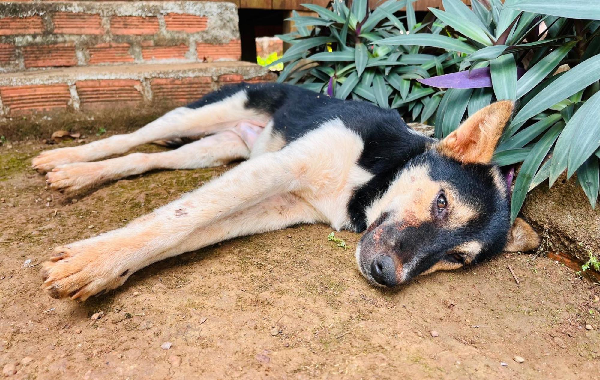 Ratanakiri Farmhouse & Trekking بانلونغ المظهر الخارجي الصورة