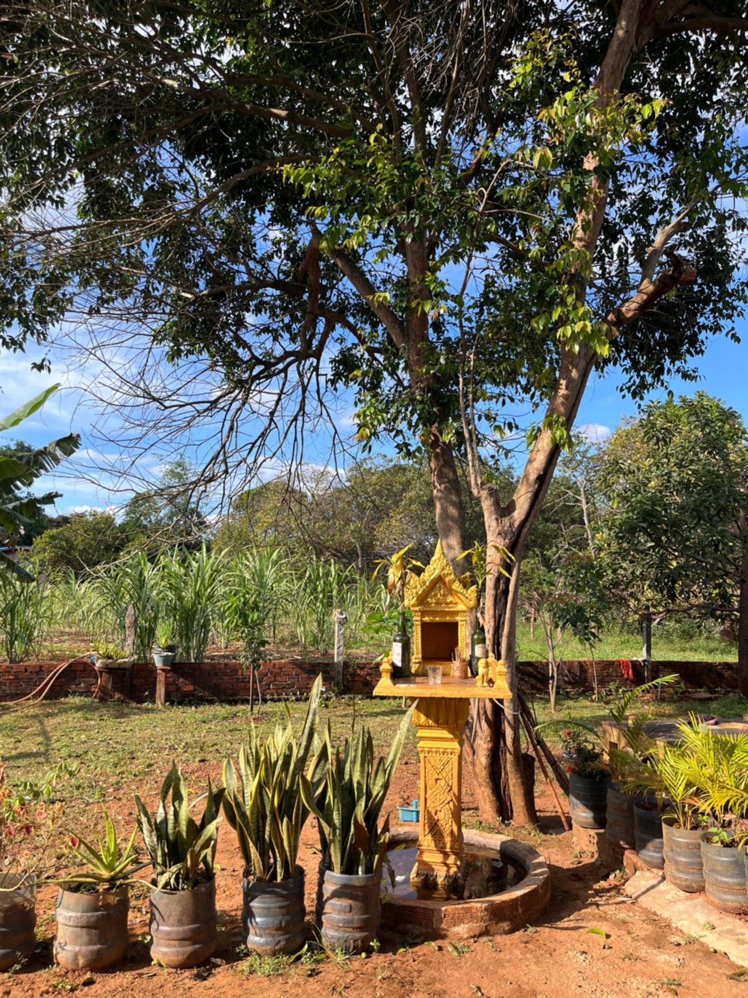 Ratanakiri Farmhouse & Trekking بانلونغ المظهر الخارجي الصورة